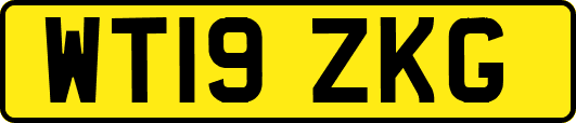 WT19ZKG