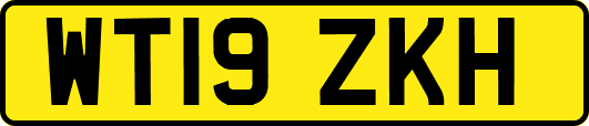 WT19ZKH