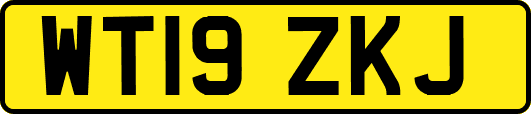 WT19ZKJ
