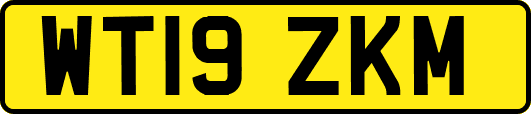 WT19ZKM