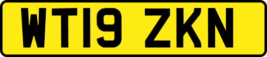 WT19ZKN