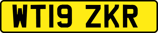WT19ZKR