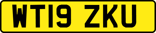WT19ZKU
