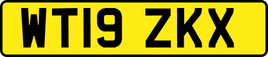 WT19ZKX