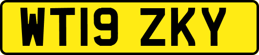 WT19ZKY
