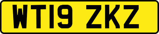 WT19ZKZ