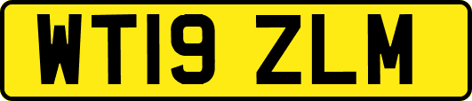 WT19ZLM