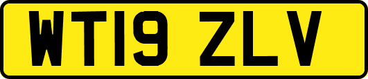WT19ZLV