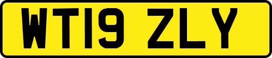 WT19ZLY