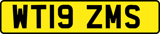 WT19ZMS