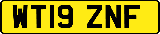 WT19ZNF