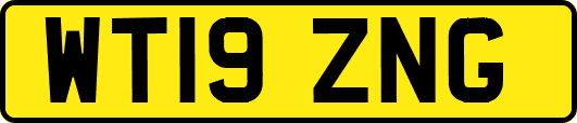 WT19ZNG