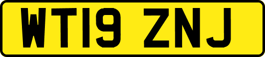 WT19ZNJ