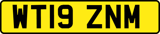 WT19ZNM