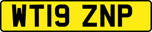 WT19ZNP