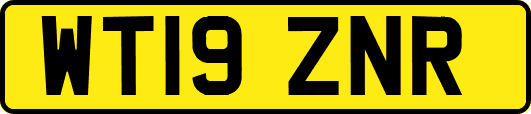 WT19ZNR