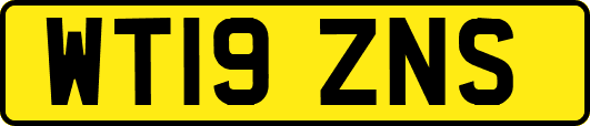 WT19ZNS