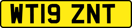 WT19ZNT