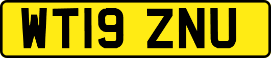 WT19ZNU