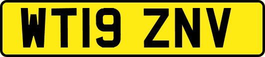 WT19ZNV