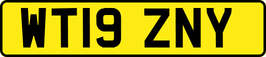 WT19ZNY