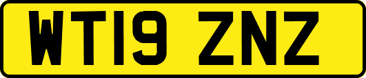 WT19ZNZ