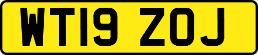 WT19ZOJ