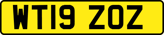 WT19ZOZ