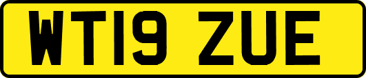 WT19ZUE