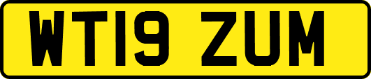 WT19ZUM