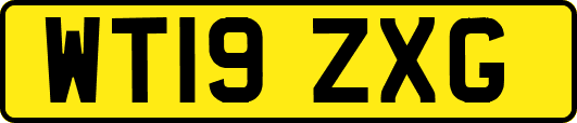 WT19ZXG