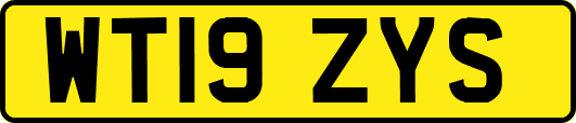WT19ZYS