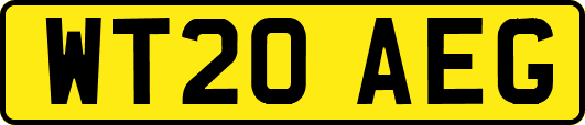 WT20AEG
