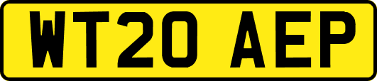 WT20AEP