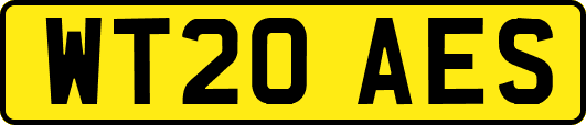 WT20AES