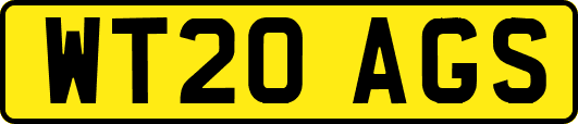 WT20AGS