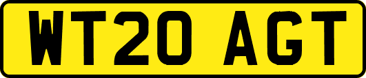 WT20AGT