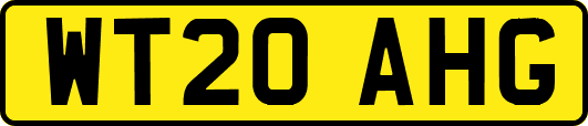 WT20AHG