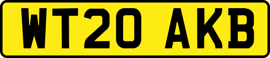 WT20AKB