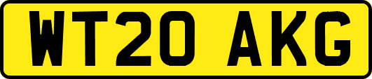 WT20AKG