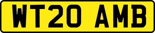 WT20AMB