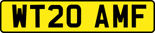 WT20AMF