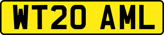 WT20AML