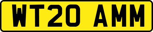 WT20AMM