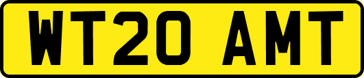 WT20AMT