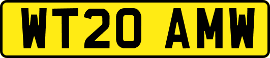 WT20AMW