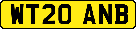 WT20ANB