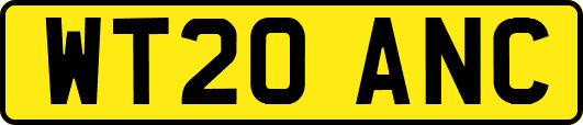 WT20ANC