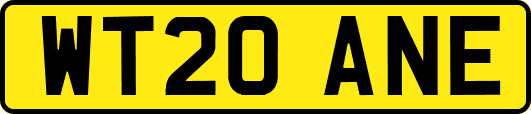 WT20ANE