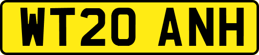 WT20ANH